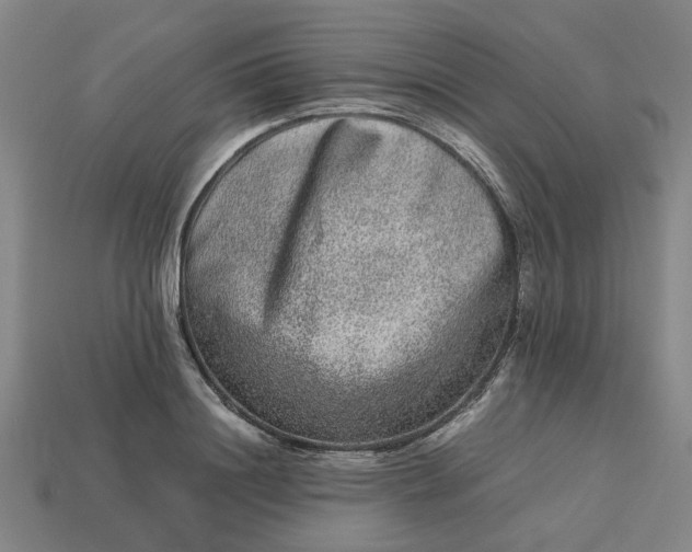 X0000113240844200910011324