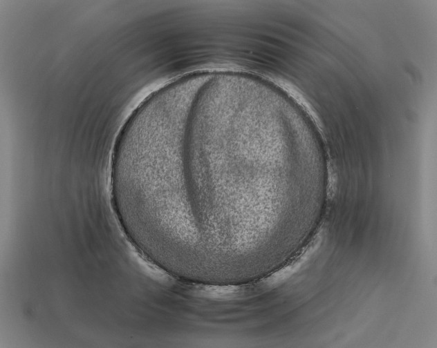 X0000113240845200910011324