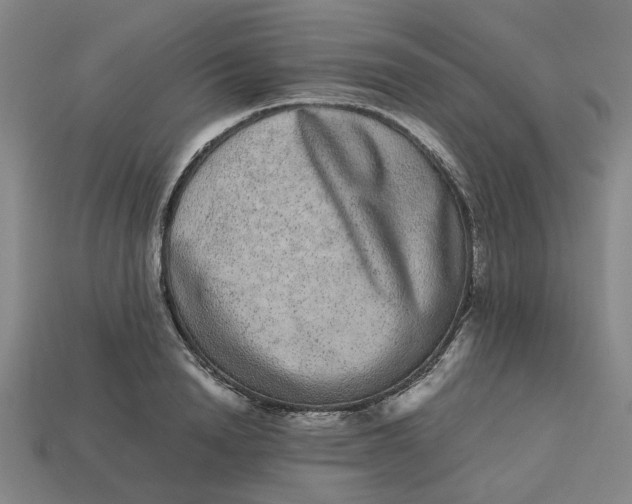 X0000113240846200910011324