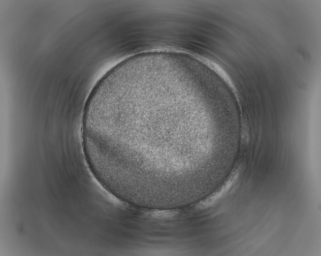 X0000113240847200910011324