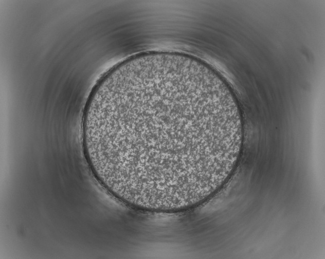 X0000113240848200910011324