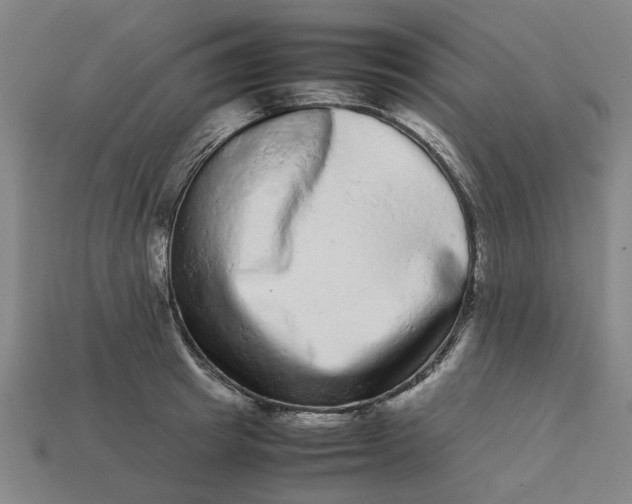 X0000113240849200910011324