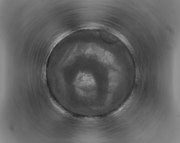 X0000113240850200910011324