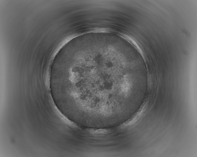 X0000113240851200910011324