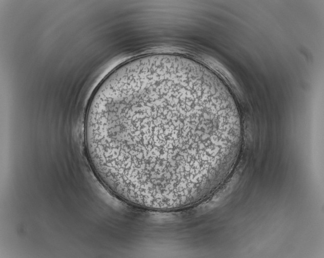 X0000113240852200910011324