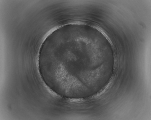 X0000113240853200910011324