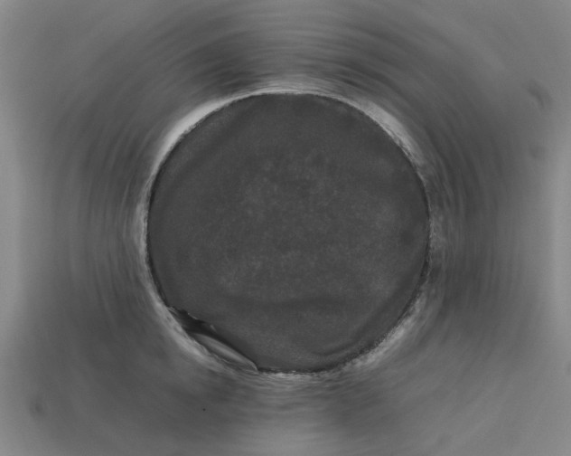 X0000113240854200910011324