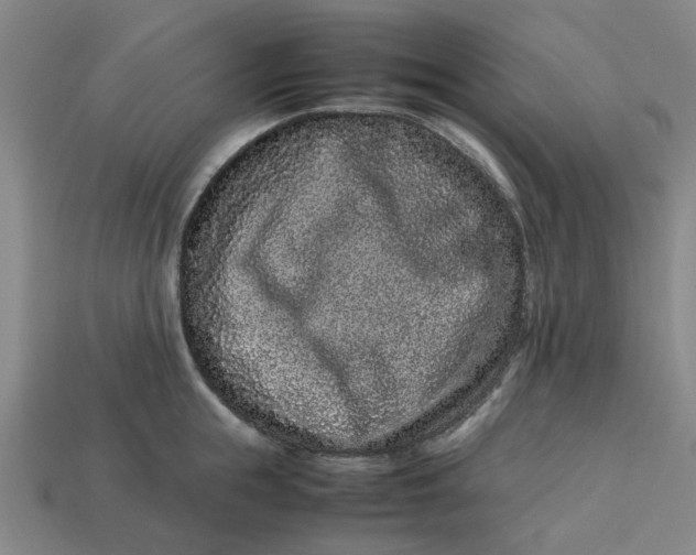 X0000113240855200910011324