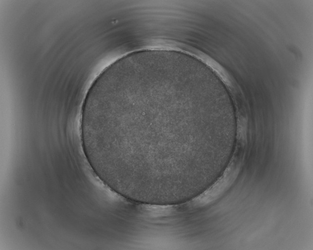 X0000113240856200910011324