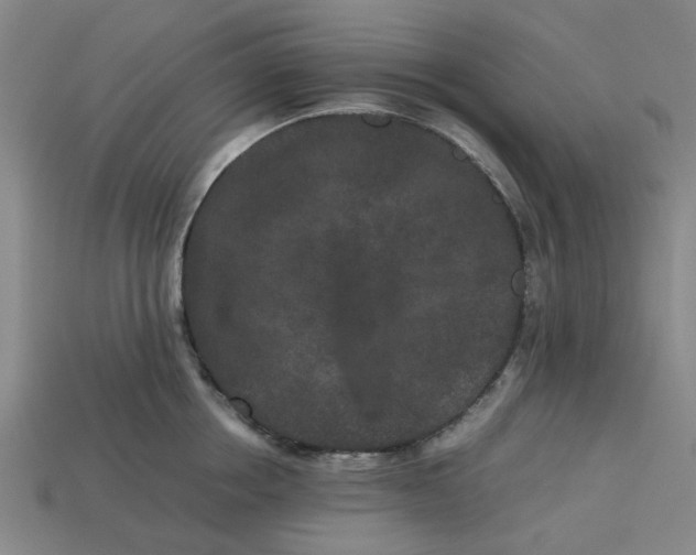 X0000113240858200910011324