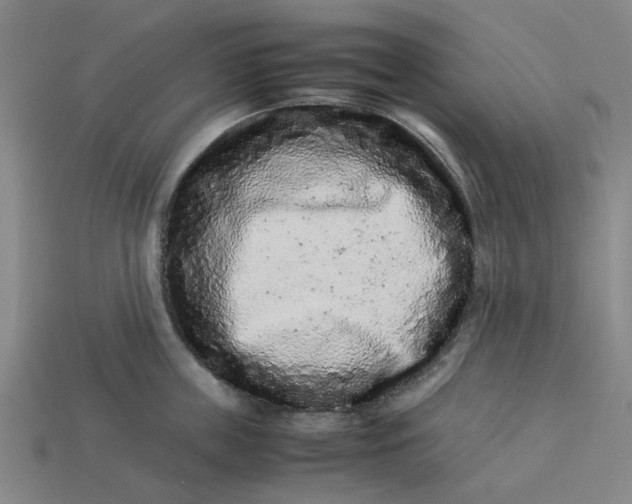 X0000113240859200910011324