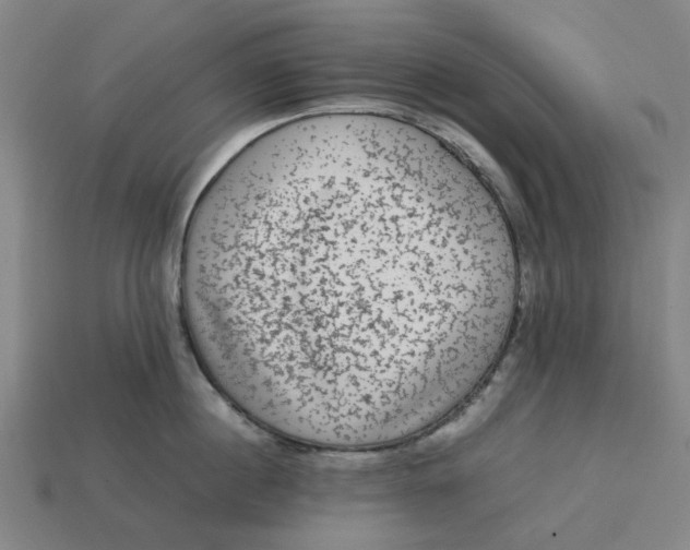 X0000113240860200910011324