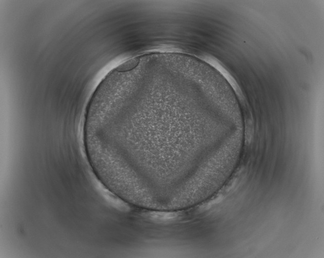 X0000113240861200910011325