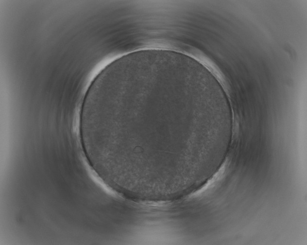 X0000113240862200910011325