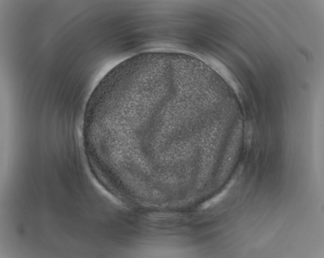 X0000113240863200910011325