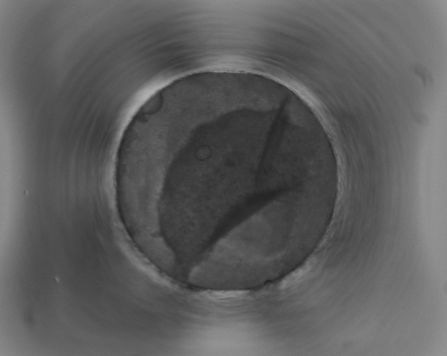 X0000113240864200910011325