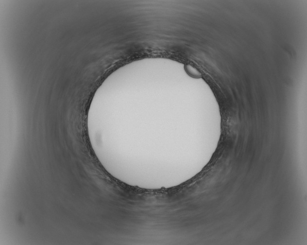 X0000113240865200910011324