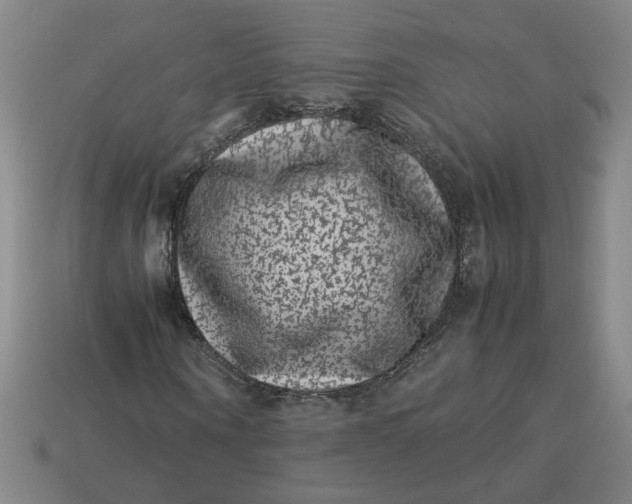 X0000113240866200910011324