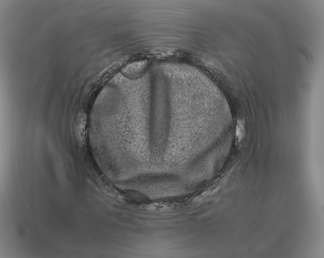 X0000113240867200910011324