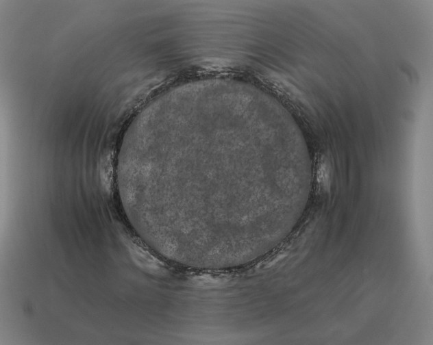 X0000113240868200910011324