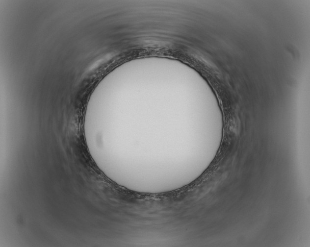 X0000113240869200910011324