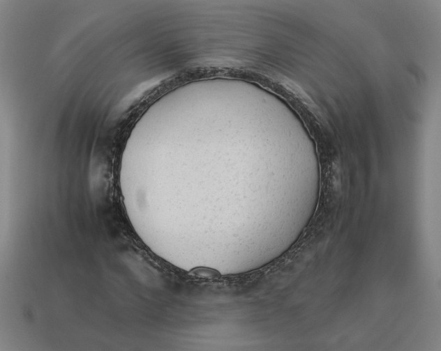 X0000113240872200910011324