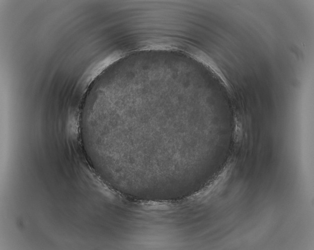 X0000113240874200910011324