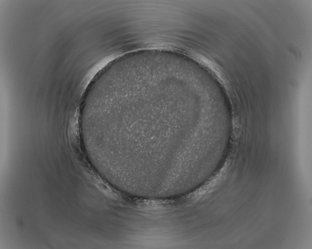 X0000113240875200910011324