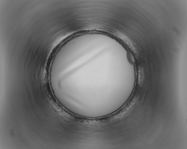 X0000113240876200910011324