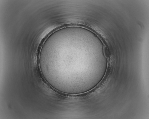 X0000113240877200910011324