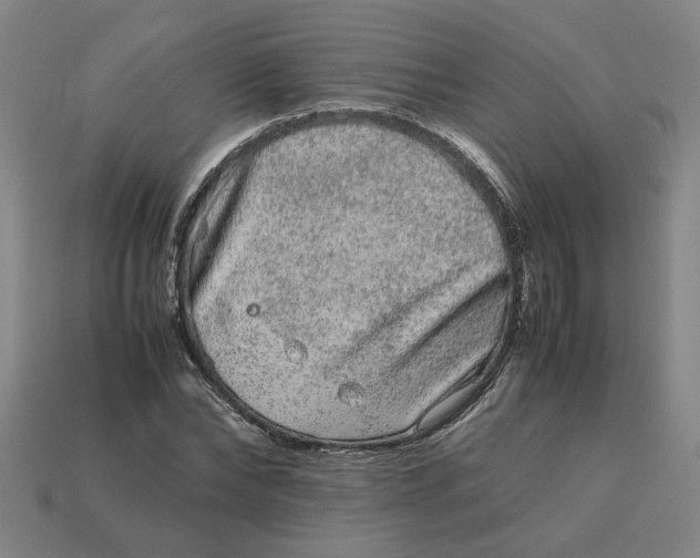 X0000113240878200910011324