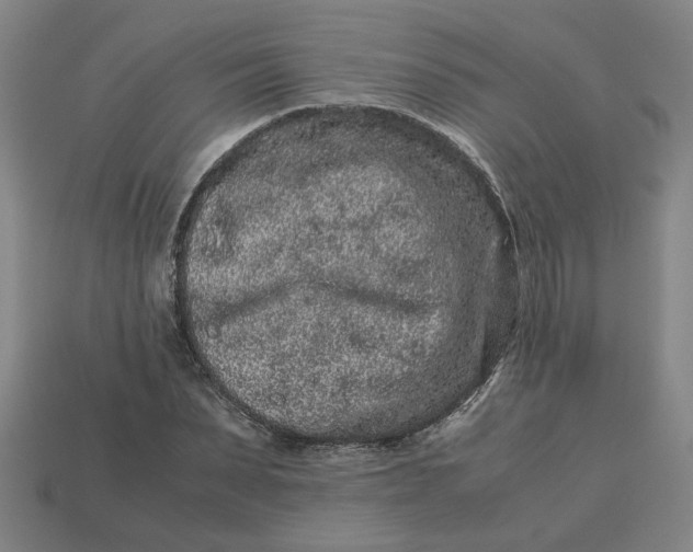 X0000113240879200910011324