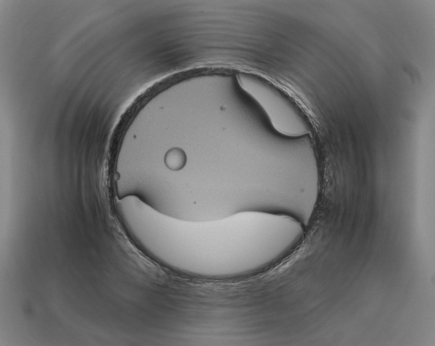 X0000113240880200910011324