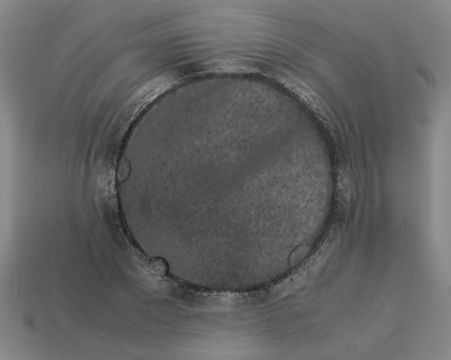 X0000113240881200910011324