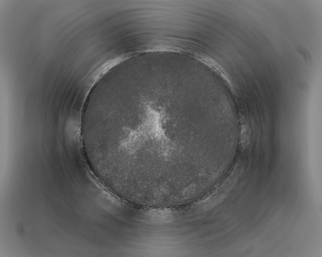 X0000113240882200910011324