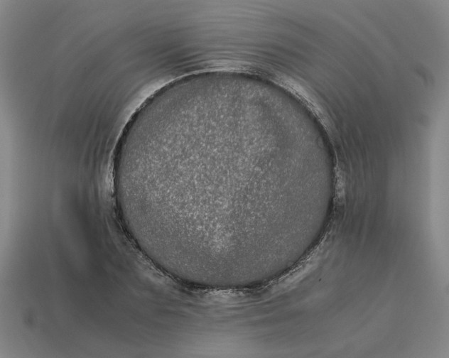 X0000113240883200910011324