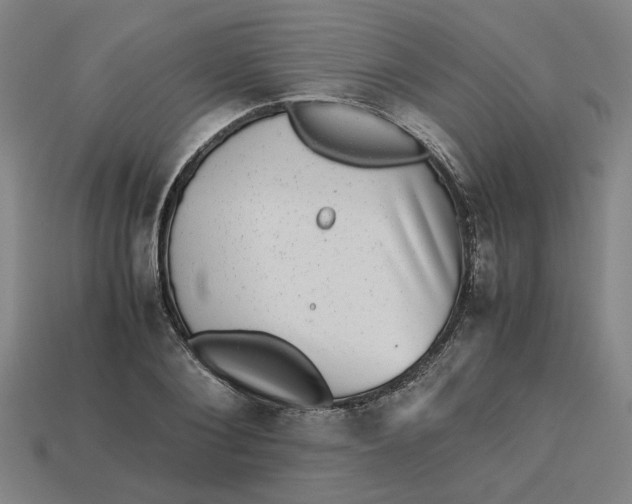 X0000113240884200910011324