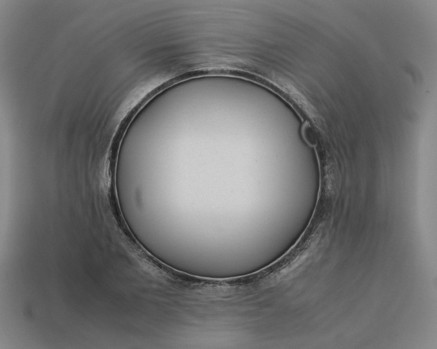 X0000113240885200910011324