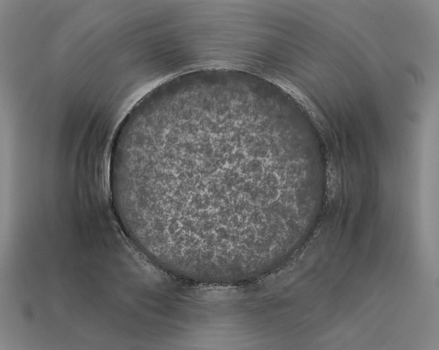 X0000113240886200910011324