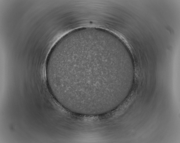 X0000113240887200910011324