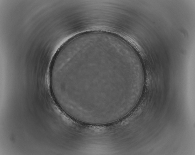 X0000113240888200910011324