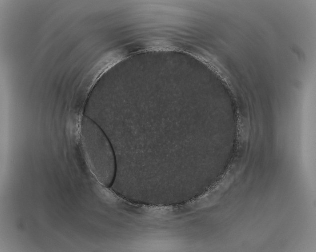 X0000113240889200910011324