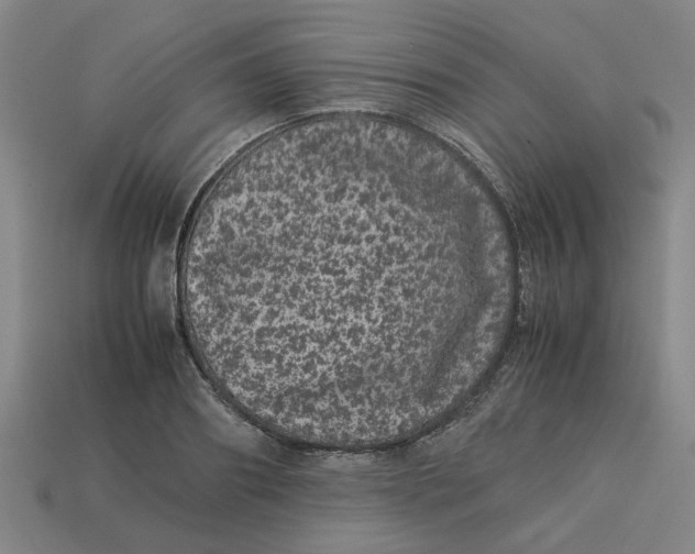 X0000113240890200910011324