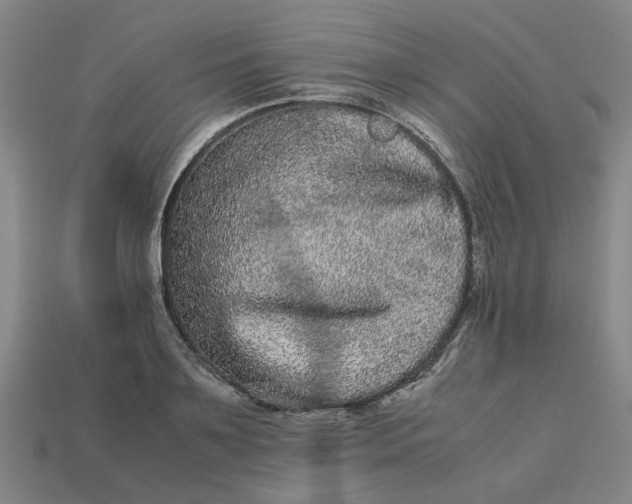 X0000113240891200910011324