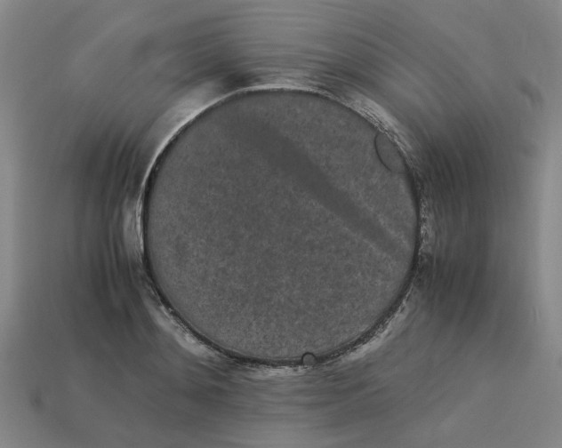 X0000113240892200910011324