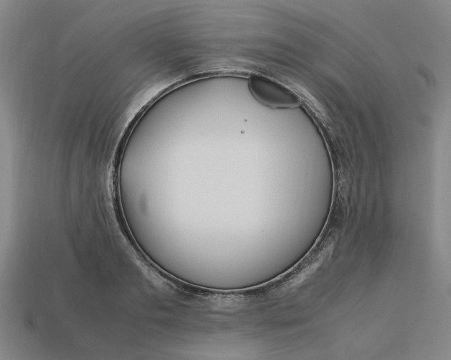 X0000113240893200910011324