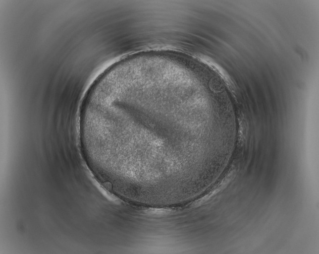 X0000113240894200910011324