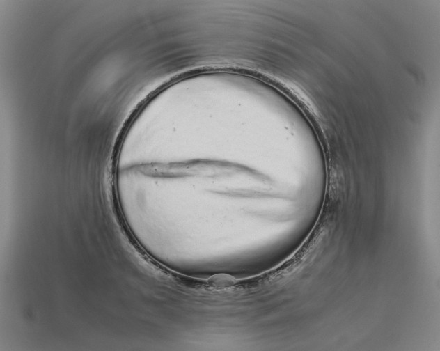 X0000113240895200910011324