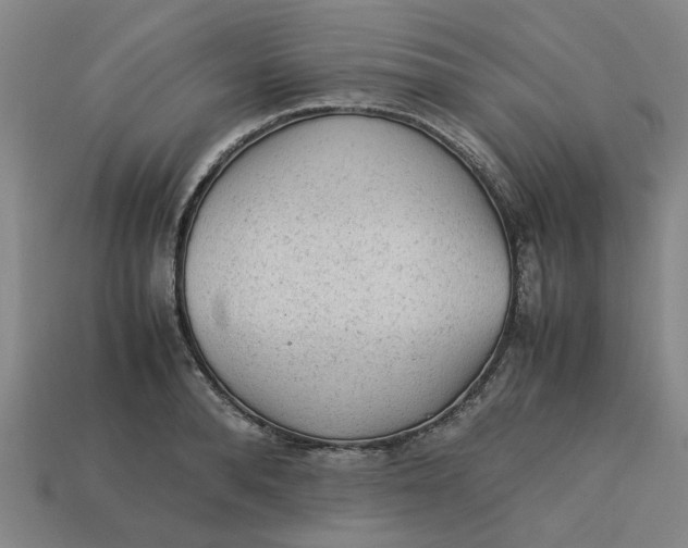 X0000113240896200910011324