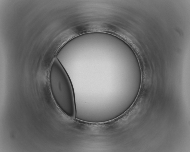 X0000113240897200910011324